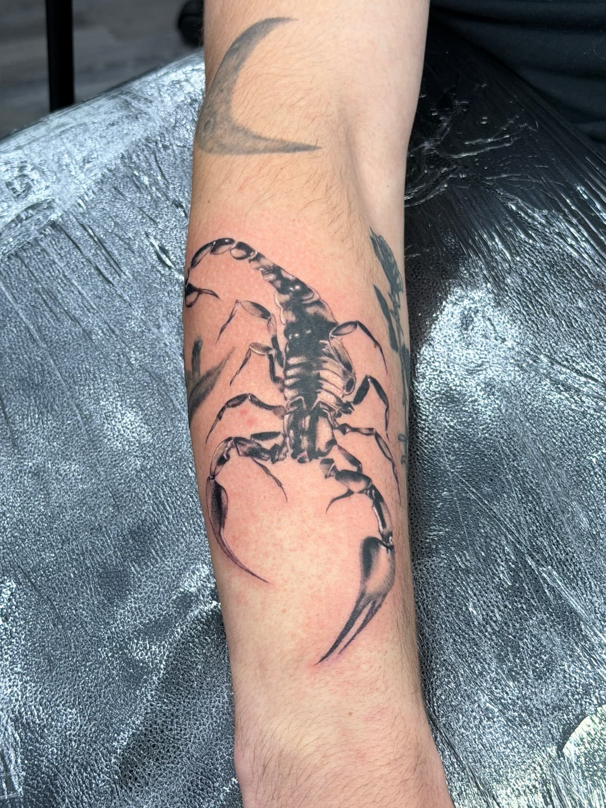 Scorpion — Black and Grey / Forearm